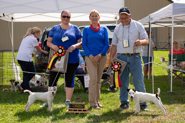 Little Eden Prim - 2018 JRTCC National Puppy Conformation Champion