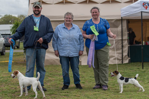 Fleet Street Crimson - Puppy Conformation Champion at Spring Fever II 2018